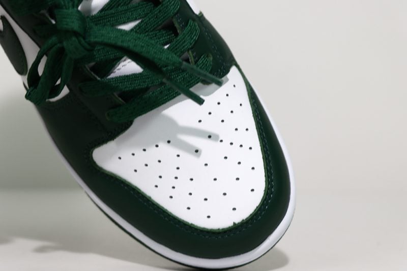 Dunk Low Michigan State Reps