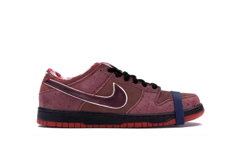 Dunk Low Concepts Red Lobster Quality Reps