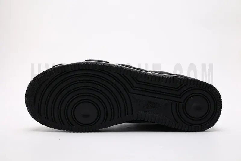 the black sole