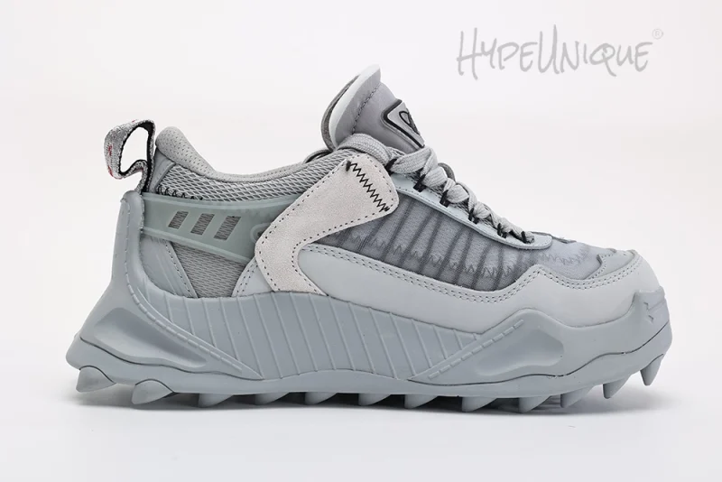 Odsy-1000 Sneakers Gray Reps