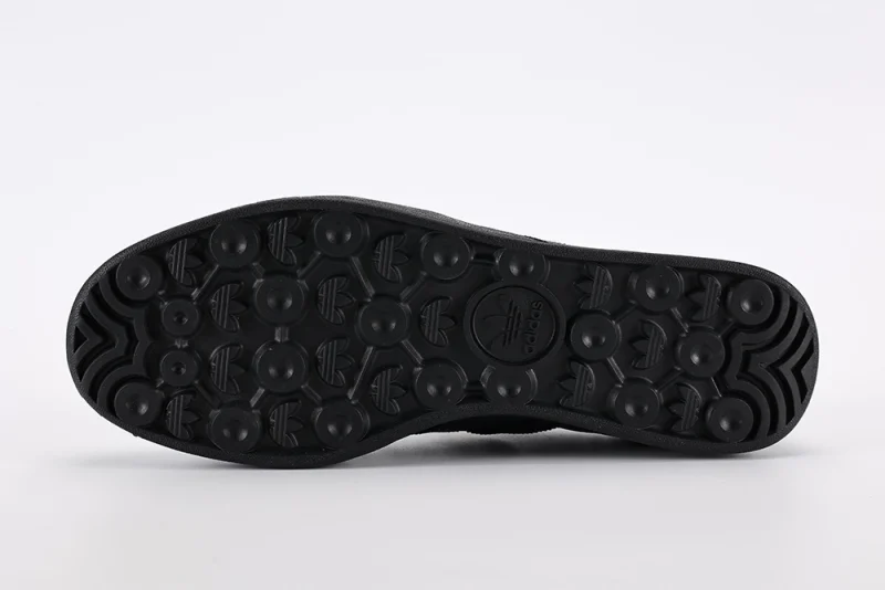 the black sole