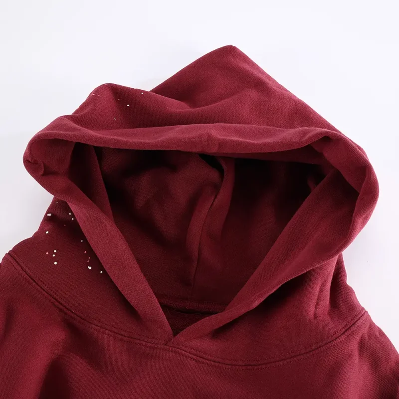 the hoodie