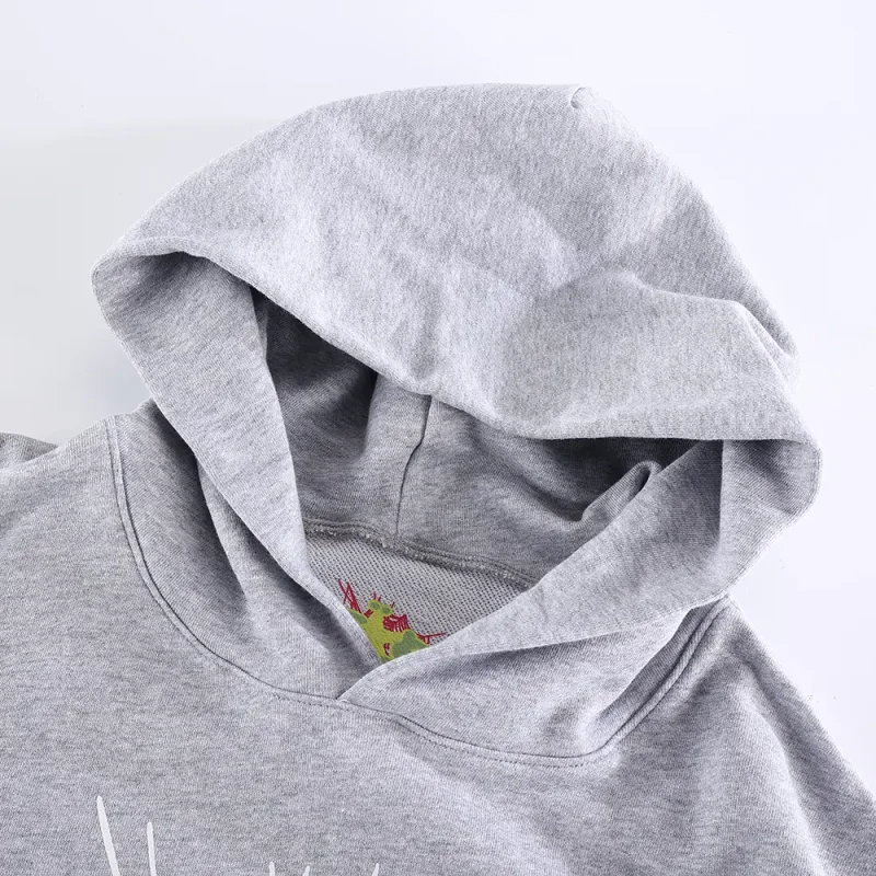 the hoodie