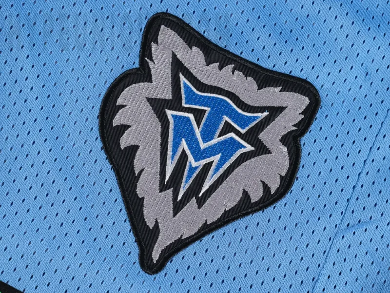 Timberwolves logo