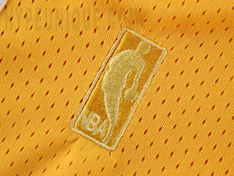 the nba loog