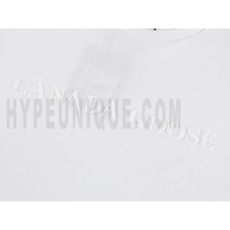 Front graphic print on the garment